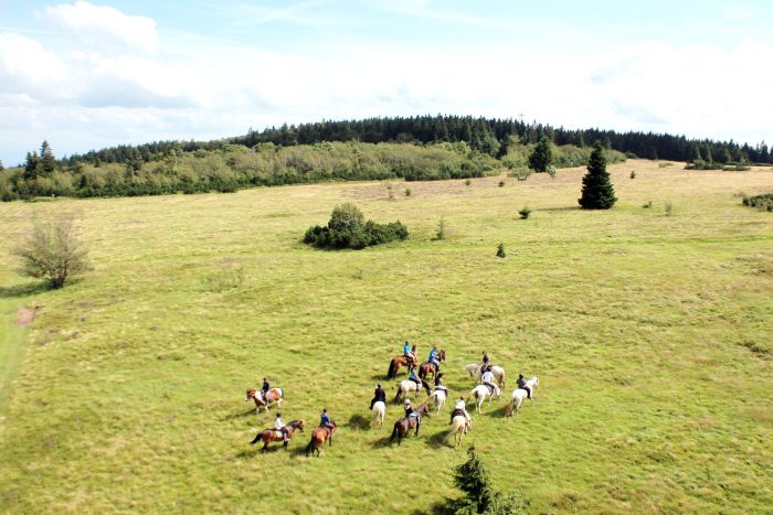 Vacances à cheval dans la belle Alsace