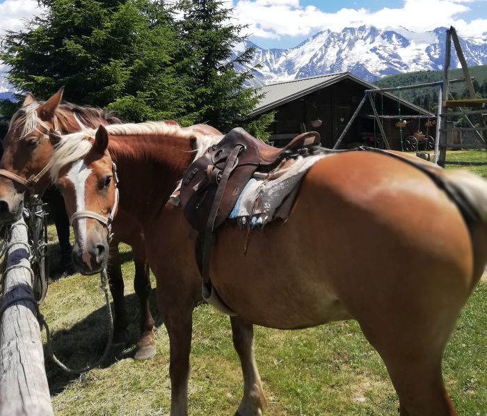 Randonn&eacute;e &agrave; travers les Alpes fran&ccedil;aises (4/5 jours)