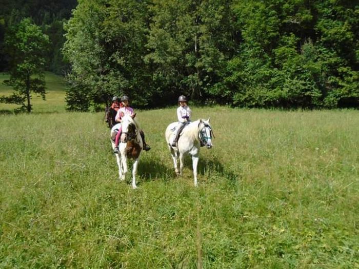 Randonn&eacute;e &agrave; travers les Alpes fran&ccedil;aises (4/5 jours)