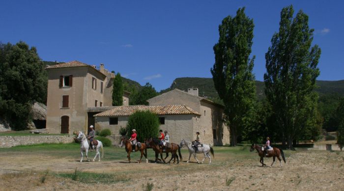 Promenades en Provence et en Camargue