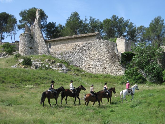 Promenades en Provence et en Camargue
