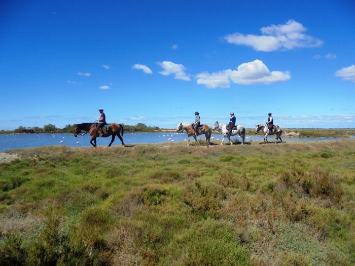 Promenades en Provence et en Camargue