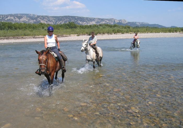 Promenades en Provence et en Camargue