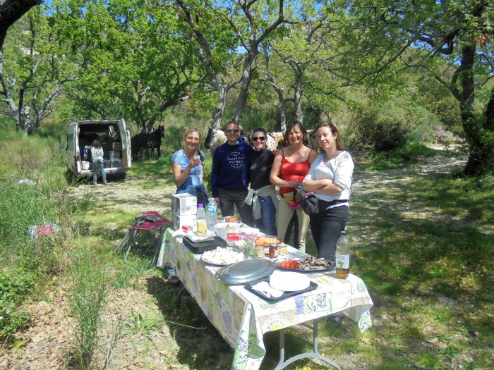 Promenades en Provence et en Camargue