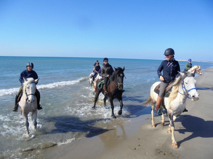 Promenades en Provence et en Camargue