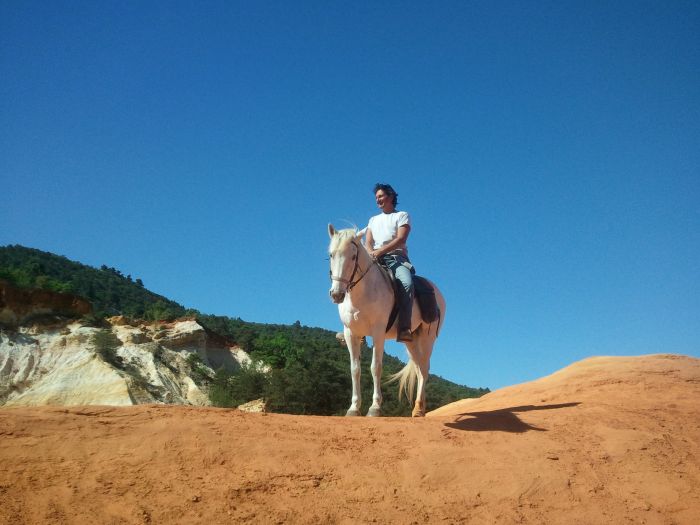 Promenades en Provence et en Camargue