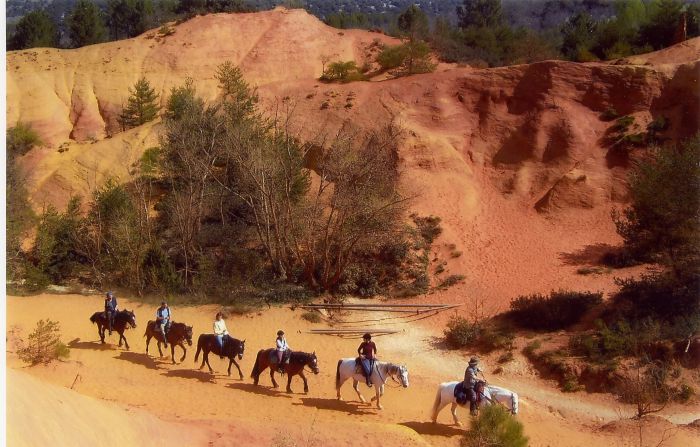 Promenades en Provence et en Camargue