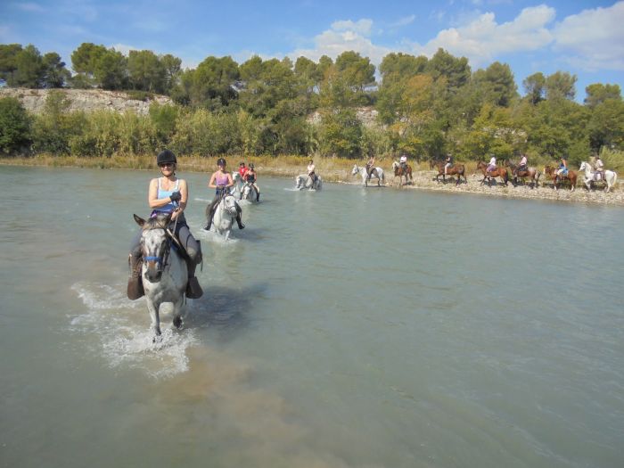 Promenades en Provence et en Camargue