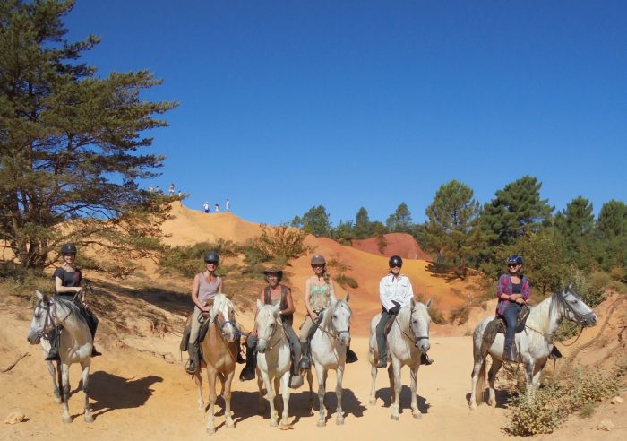Promenades en Provence et en Camargue
