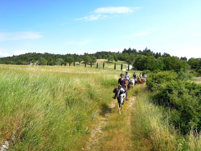 Promenades en Provence et en Camargue
