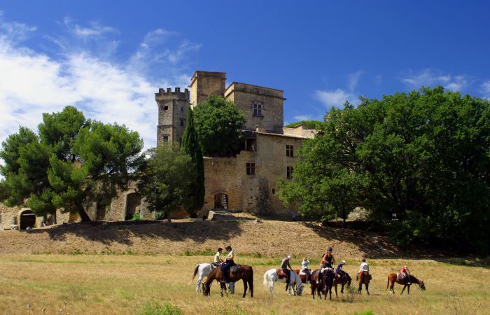 Promenades en Provence et en Camargue