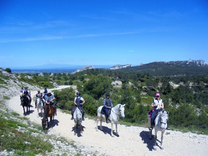 Promenades en Provence et en Camargue