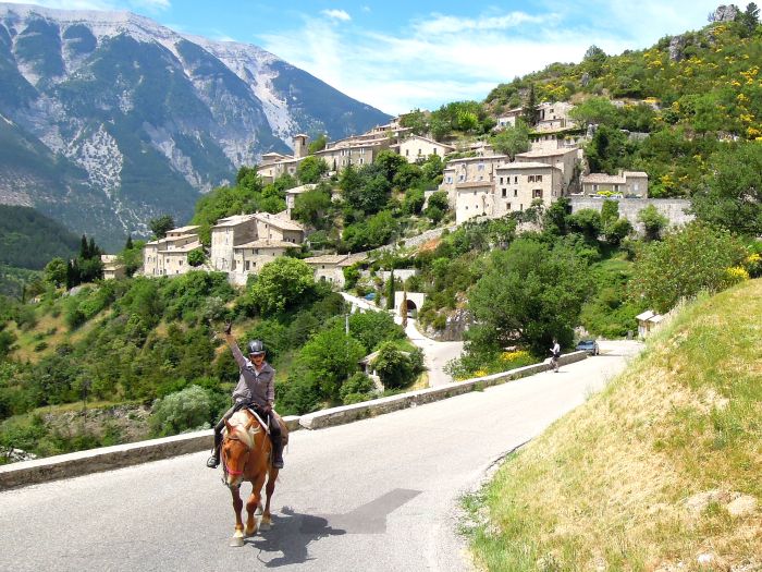 Promenades en Provence et en Camargue