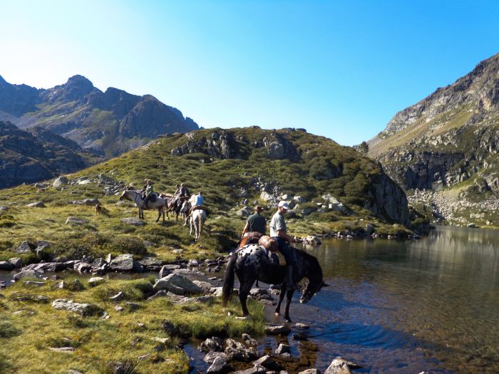 Randonnées dans les Pyrénées et apprentissage de l'équitation à la campagne