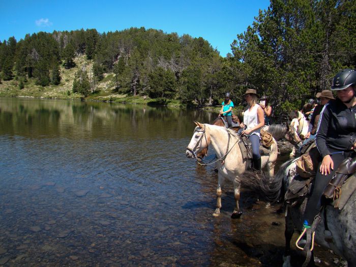 Randonnées dans les Pyrénées et apprentissage de l'équitation à la campagne