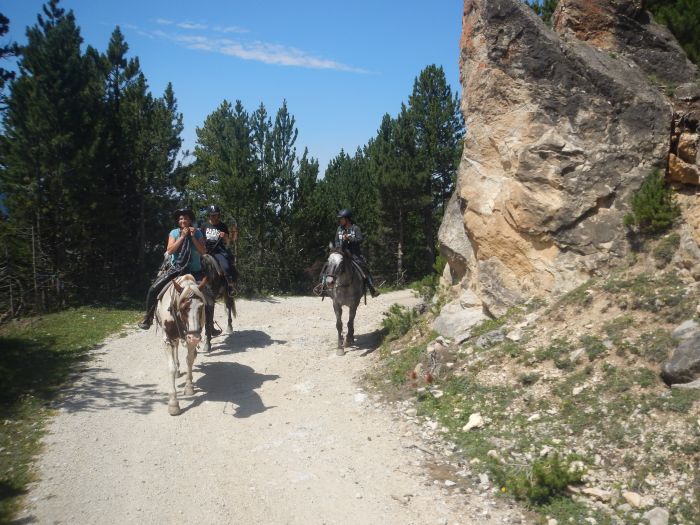 Randonnées dans les Pyrénées et apprentissage de l'équitation à la campagne