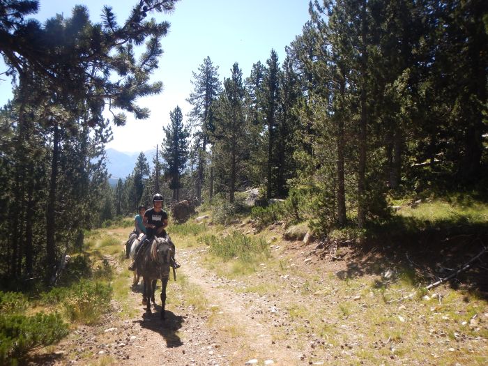 Randonnées dans les Pyrénées et apprentissage de l'équitation à la campagne