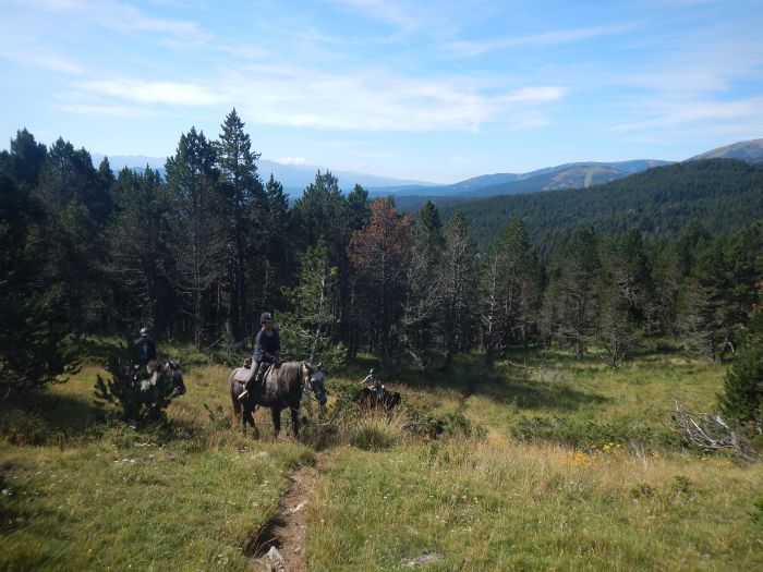 Randonnées dans les Pyrénées et apprentissage de l'équitation à la campagne