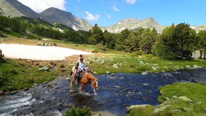 Randonnées dans les Pyrénées et apprentissage de l'équitation à la campagne