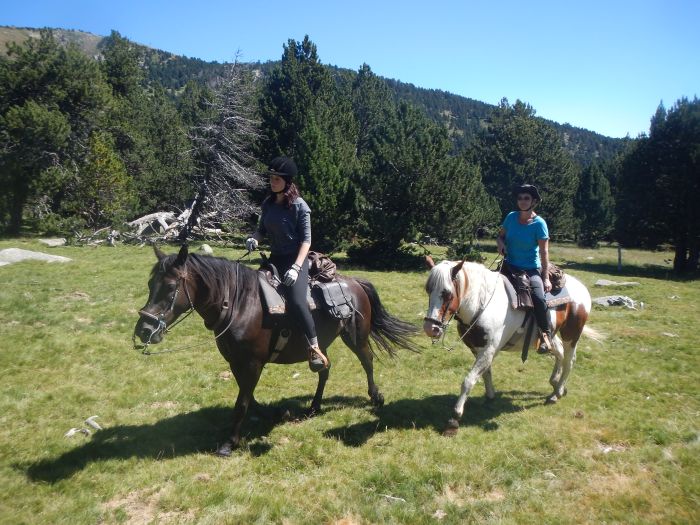 Randonnées dans les Pyrénées et apprentissage de l'équitation à la campagne