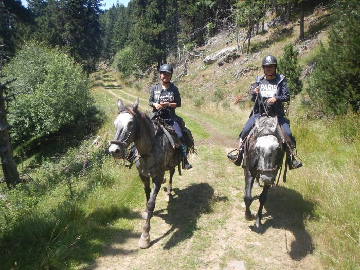 Randonnées dans les Pyrénées et apprentissage de l'équitation à la campagne