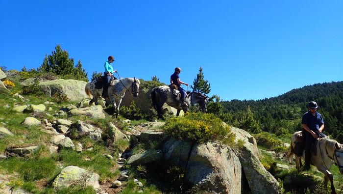 Randonnées dans les Pyrénées et apprentissage de l'équitation à la campagne