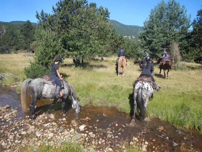 Randonnées dans les Pyrénées et apprentissage de l'équitation à la campagne