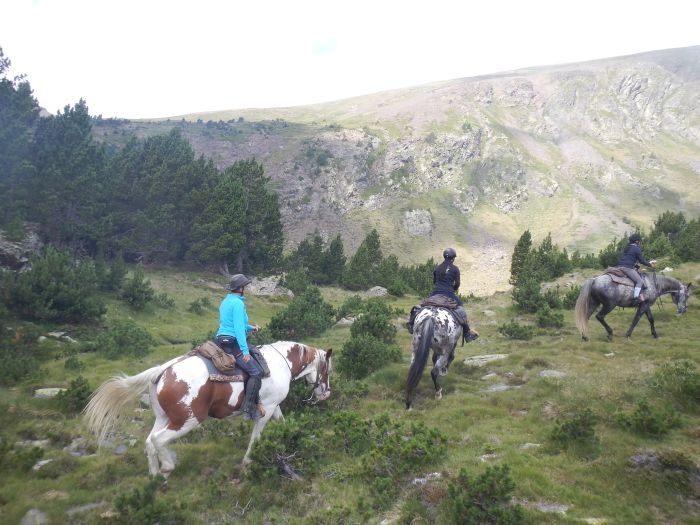 Randonnées dans les Pyrénées et apprentissage de l'équitation à la campagne