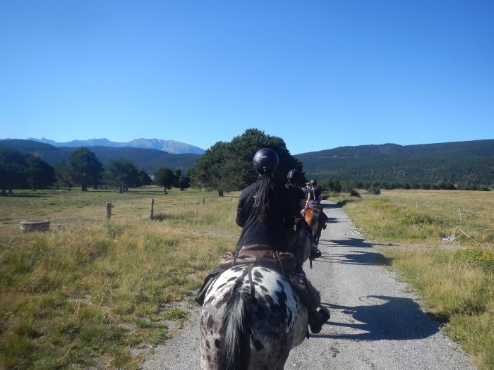 Randonnées dans les Pyrénées et apprentissage de l'équitation à la campagne