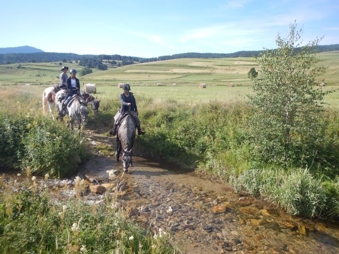 Randonnées dans les Pyrénées et apprentissage de l'équitation à la campagne