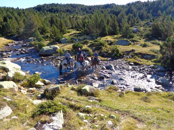 Randonnées dans les Pyrénées et apprentissage de l'équitation à la campagne