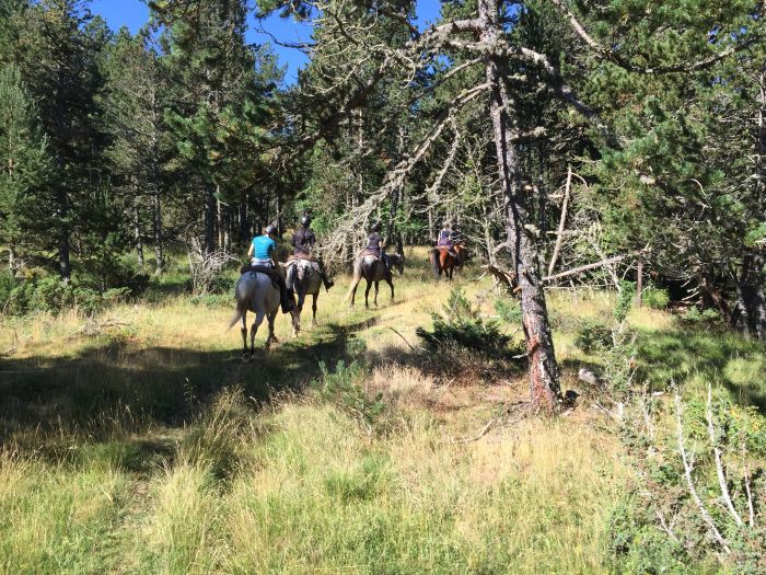 Randonnées dans les Pyrénées et apprentissage de l'équitation à la campagne