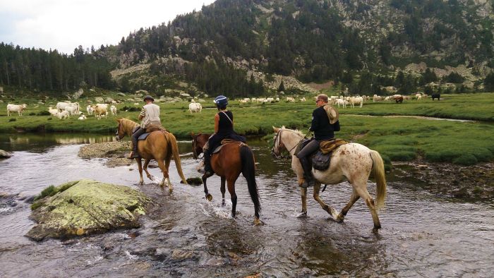 Randonnées dans les Pyrénées et apprentissage de l'équitation à la campagne