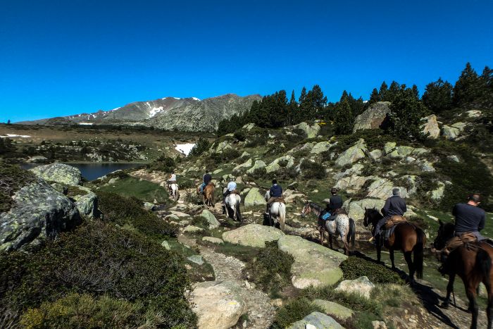 Randonnées dans les Pyrénées et apprentissage de l'équitation à la campagne