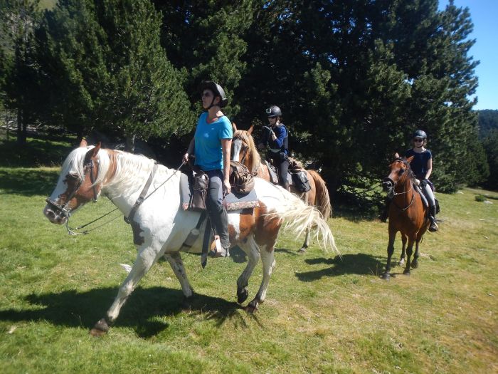 Randonnées dans les Pyrénées et apprentissage de l'équitation à la campagne
