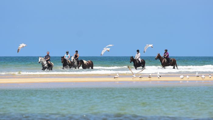 La côte atlantique - le rêve d'un cavalier