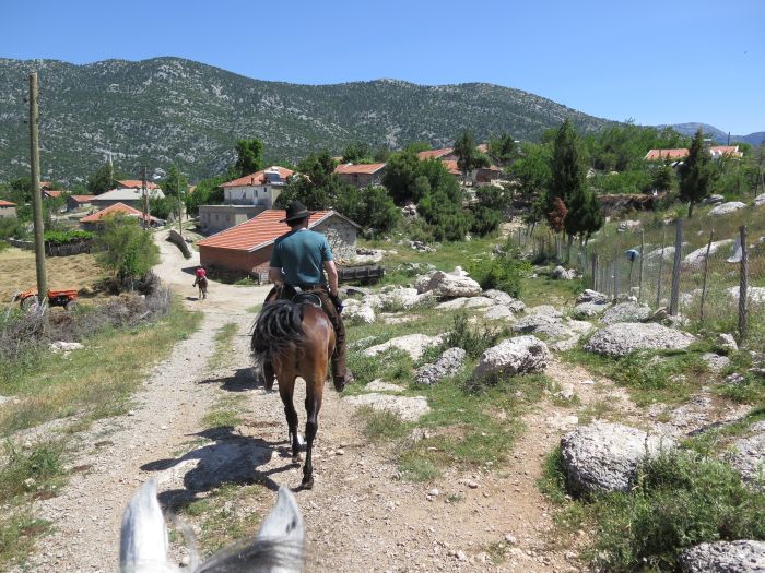 Sur la trace des chevaux sauvages turques