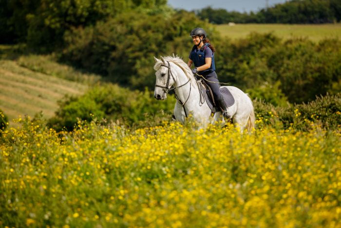 Apprentissage de l'anglais et équitation pour les adolescents