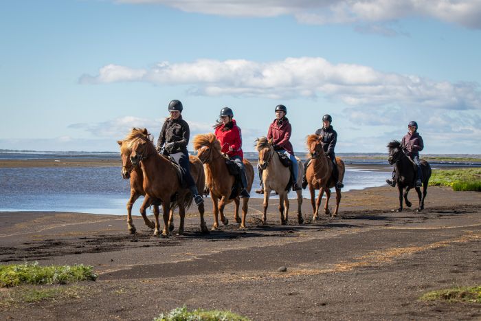 L'Islande avec confort