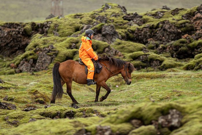 L'Islande avec confort