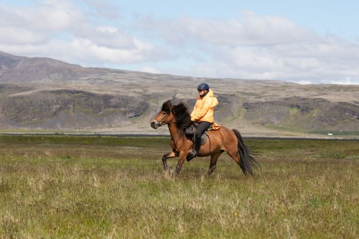 L'Islande avec confort