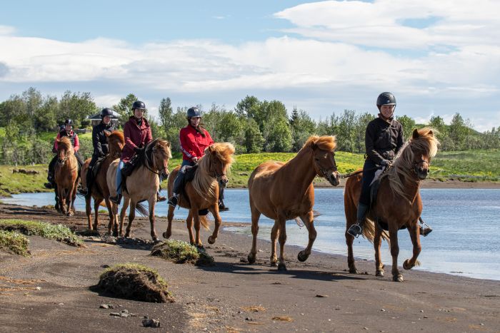 L'Islande avec confort