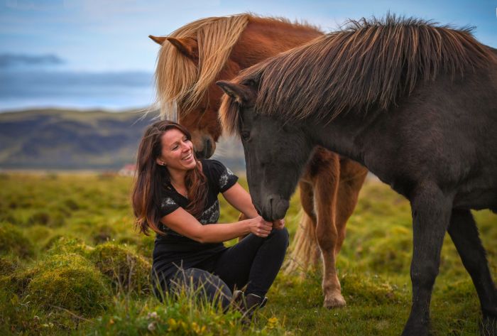 L'Islande avec confort