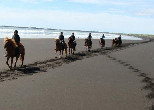 Le sud de l'Islande en exclusivité