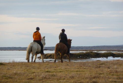 Le sud de l'Islande en exclusivité