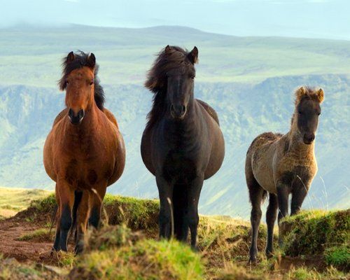 Le sud de l'Islande en exclusivité