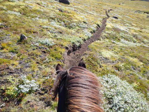 Le sud de l'Islande en exclusivité