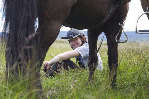 Le sud de l'Islande en exclusivité