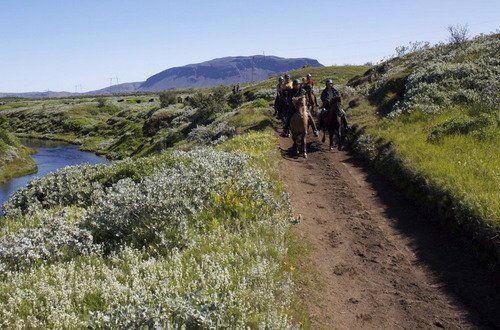 Le sud de l'Islande en exclusivité