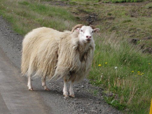 Le sud de l'Islande en exclusivité